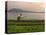 Tending the Crops on the Banks of the Mekong River, Pakse, Southern Laos, Indochina-Andrew Mcconnell-Stretched Canvas