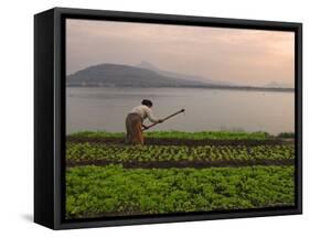 Tending the Crops on the Banks of the Mekong River, Pakse, Southern Laos, Indochina-Andrew Mcconnell-Framed Stretched Canvas