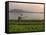 Tending the Crops on the Banks of the Mekong River, Pakse, Southern Laos, Indochina-Andrew Mcconnell-Framed Stretched Canvas