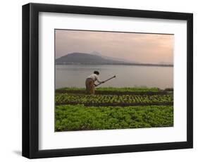 Tending the Crops on the Banks of the Mekong River, Pakse, Southern Laos, Indochina-Andrew Mcconnell-Framed Photographic Print