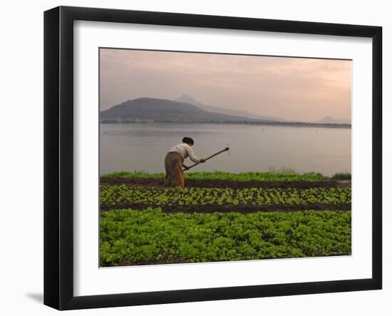 Tending the Crops on the Banks of the Mekong River, Pakse, Southern Laos, Indochina-Andrew Mcconnell-Framed Photographic Print