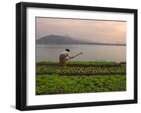 Tending the Crops on the Banks of the Mekong River, Pakse, Southern Laos, Indochina-Andrew Mcconnell-Framed Photographic Print