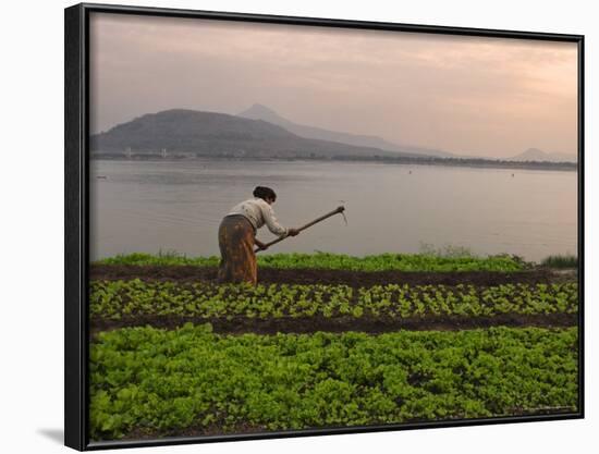 Tending the Crops on the Banks of the Mekong River, Pakse, Southern Laos, Indochina-Andrew Mcconnell-Framed Photographic Print