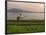 Tending the Crops on the Banks of the Mekong River, Pakse, Southern Laos, Indochina-Andrew Mcconnell-Framed Photographic Print