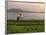 Tending the Crops on the Banks of the Mekong River, Pakse, Southern Laos, Indochina-Andrew Mcconnell-Framed Photographic Print