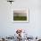 Tending the Crops on the Banks of the Mekong River, Pakse, Southern Laos, Indochina-Andrew Mcconnell-Framed Photographic Print displayed on a wall