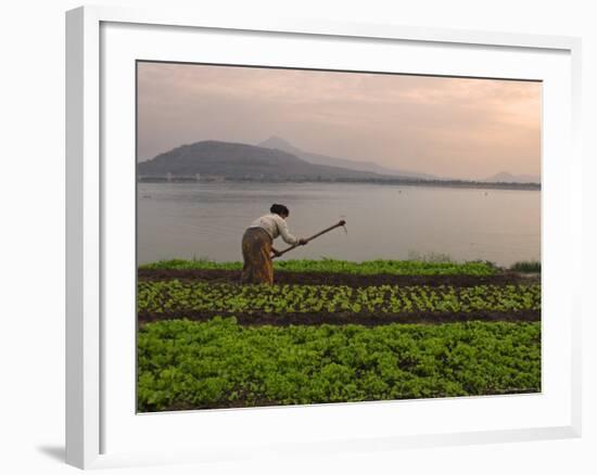 Tending the Crops on the Banks of the Mekong River, Pakse, Southern Laos, Indochina-Andrew Mcconnell-Framed Photographic Print