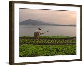 Tending the Crops on the Banks of the Mekong River, Pakse, Southern Laos, Indochina-Andrew Mcconnell-Framed Photographic Print