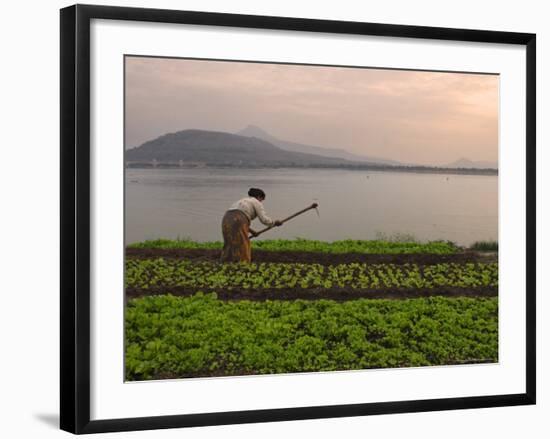 Tending the Crops on the Banks of the Mekong River, Pakse, Southern Laos, Indochina-Andrew Mcconnell-Framed Photographic Print