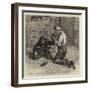 Tending the Invalid, a Recent Sketch at the Zoological Gardens-Samuel Edmund Waller-Framed Premium Giclee Print