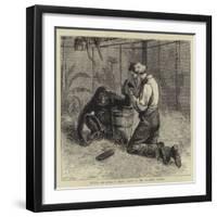 Tending the Invalid, a Recent Sketch at the Zoological Gardens-Samuel Edmund Waller-Framed Premium Giclee Print