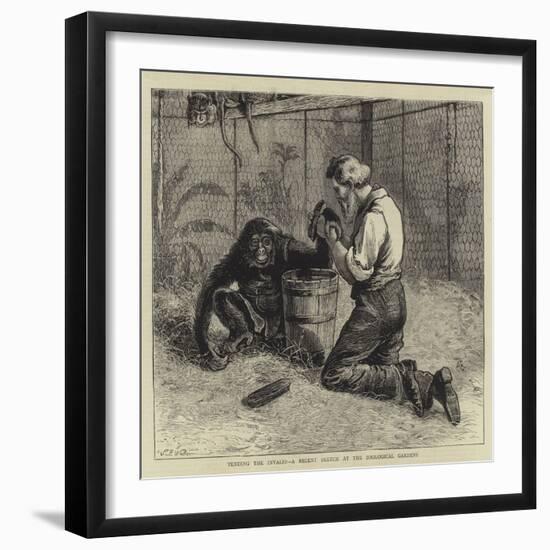 Tending the Invalid, a Recent Sketch at the Zoological Gardens-Samuel Edmund Waller-Framed Premium Giclee Print