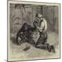 Tending the Invalid, a Recent Sketch at the Zoological Gardens-Samuel Edmund Waller-Mounted Premium Giclee Print