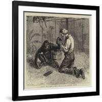 Tending the Invalid, a Recent Sketch at the Zoological Gardens-Samuel Edmund Waller-Framed Giclee Print