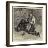 Tending the Invalid, a Recent Sketch at the Zoological Gardens-Samuel Edmund Waller-Framed Giclee Print