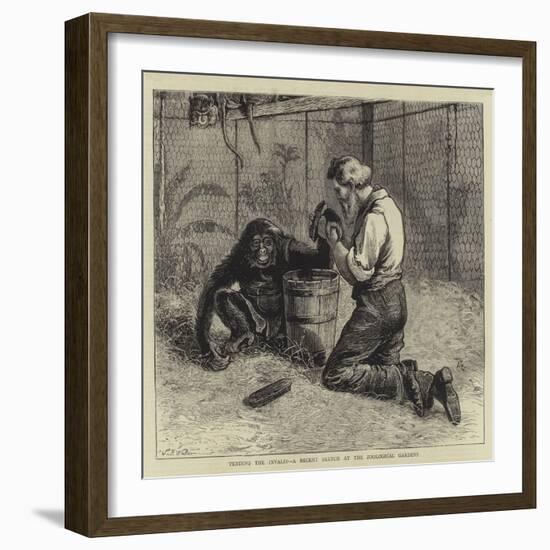 Tending the Invalid, a Recent Sketch at the Zoological Gardens-Samuel Edmund Waller-Framed Giclee Print