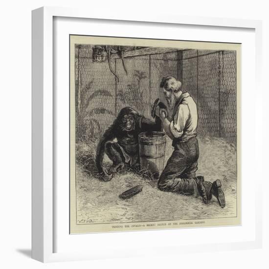 Tending the Invalid, a Recent Sketch at the Zoological Gardens-Samuel Edmund Waller-Framed Giclee Print