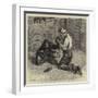 Tending the Invalid, a Recent Sketch at the Zoological Gardens-Samuel Edmund Waller-Framed Giclee Print