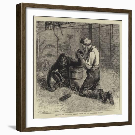 Tending the Invalid, a Recent Sketch at the Zoological Gardens-Samuel Edmund Waller-Framed Giclee Print