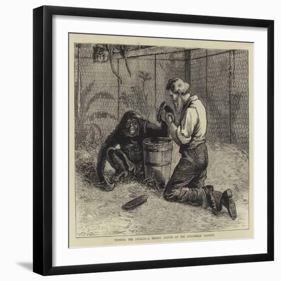 Tending the Invalid, a Recent Sketch at the Zoological Gardens-Samuel Edmund Waller-Framed Giclee Print