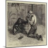Tending the Invalid, a Recent Sketch at the Zoological Gardens-Samuel Edmund Waller-Mounted Giclee Print
