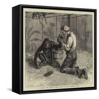 Tending the Invalid, a Recent Sketch at the Zoological Gardens-Samuel Edmund Waller-Framed Stretched Canvas