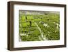 Tending the Rice Paddies, Shan State, Myanmar (Burma), Asia-Colin Brynn-Framed Photographic Print