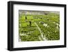 Tending the Rice Paddies, Shan State, Myanmar (Burma), Asia-Colin Brynn-Framed Photographic Print