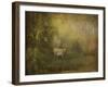 Tendre Charolais-Dawne Polis-Framed Art Print