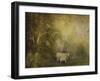 Tendre Charolais-Dawne Polis-Framed Art Print