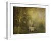 Tendre Charolais-Dawne Polis-Framed Art Print