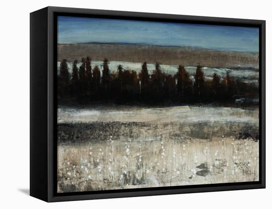 Tenebrous Trees-Tim O'toole-Framed Stretched Canvas