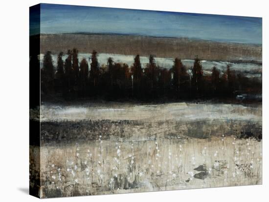 Tenebrous Trees-Tim O'toole-Stretched Canvas