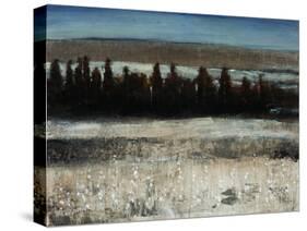 Tenebrous Trees-Tim O'toole-Stretched Canvas