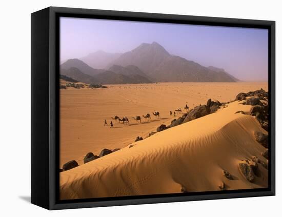 Tenere Desert, Camel Caravan Travelling Through the Air Mountains and Tenere Desert, Niger-Paul Harris-Framed Stretched Canvas