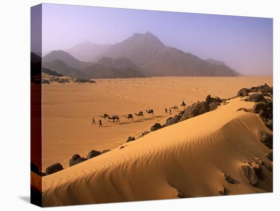 Tenere Desert, Camel Caravan Travelling Through the Air Mountains and Tenere Desert, Niger-Paul Harris-Stretched Canvas