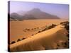 Tenere Desert, Camel Caravan Travelling Through the Air Mountains and Tenere Desert, Niger-Paul Harris-Stretched Canvas