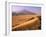 Tenere Desert, Camel Caravan Travelling Through the Air Mountains and Tenere Desert, Niger-Paul Harris-Framed Photographic Print