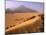 Tenere Desert, Camel Caravan Travelling Through the Air Mountains and Tenere Desert, Niger-Paul Harris-Mounted Photographic Print