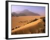 Tenere Desert, Camel Caravan Travelling Through the Air Mountains and Tenere Desert, Niger-Paul Harris-Framed Photographic Print