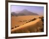 Tenere Desert, Camel Caravan Travelling Through the Air Mountains and Tenere Desert, Niger-Paul Harris-Framed Photographic Print