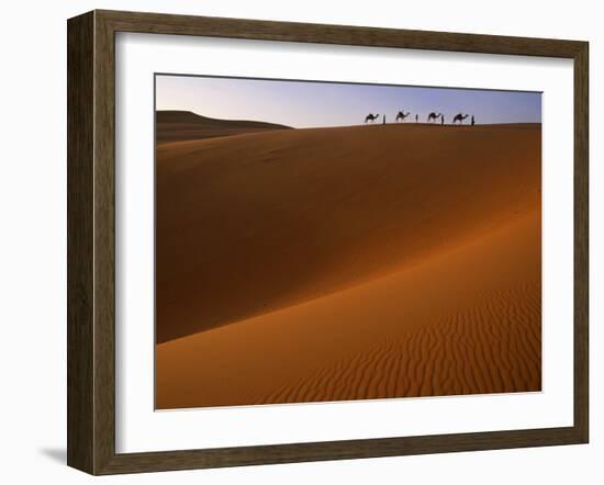 Tenere Desert, Camel Caravan Travelling Through the Air Mountains and Tenere Desert, Niger-Paul Harris-Framed Photographic Print