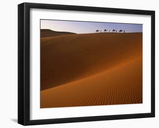 Tenere Desert, Camel Caravan Travelling Through the Air Mountains and Tenere Desert, Niger-Paul Harris-Framed Photographic Print