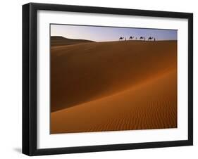 Tenere Desert, Camel Caravan Travelling Through the Air Mountains and Tenere Desert, Niger-Paul Harris-Framed Photographic Print