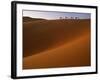 Tenere Desert, Camel Caravan Travelling Through the Air Mountains and Tenere Desert, Niger-Paul Harris-Framed Photographic Print