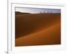 Tenere Desert, Camel Caravan Travelling Through the Air Mountains and Tenere Desert, Niger-Paul Harris-Framed Photographic Print