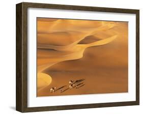 Tenere Desert, Camel Caravan Travelling Through the Air Mountains and Tenere Desert, Niger-Paul Harris-Framed Photographic Print