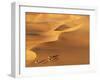 Tenere Desert, Camel Caravan Travelling Through the Air Mountains and Tenere Desert, Niger-Paul Harris-Framed Photographic Print