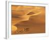 Tenere Desert, Camel Caravan Travelling Through the Air Mountains and Tenere Desert, Niger-Paul Harris-Framed Photographic Print