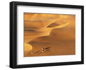 Tenere Desert, Camel Caravan Travelling Through the Air Mountains and Tenere Desert, Niger-Paul Harris-Framed Photographic Print